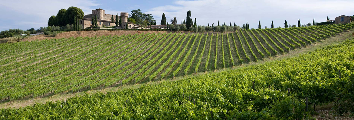 terre del vermentino